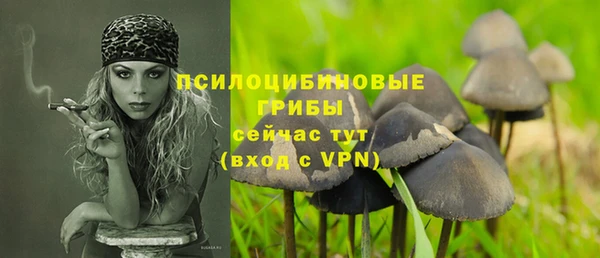 тгк Богородск