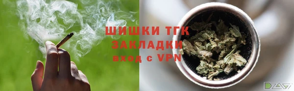 дурь Богданович