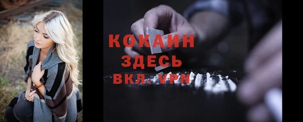 дурь Богданович