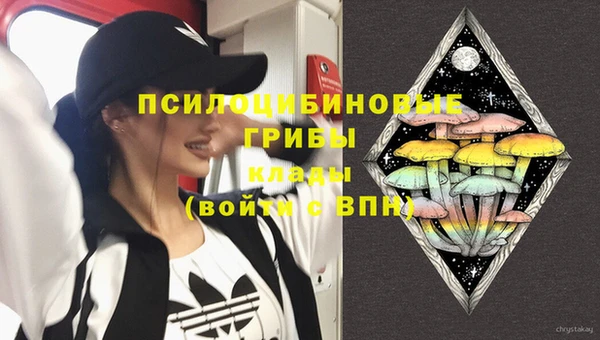 MDMA Богородицк