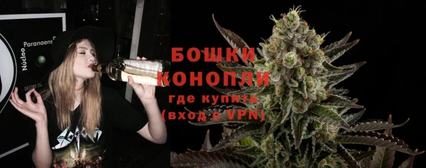дурь Богданович